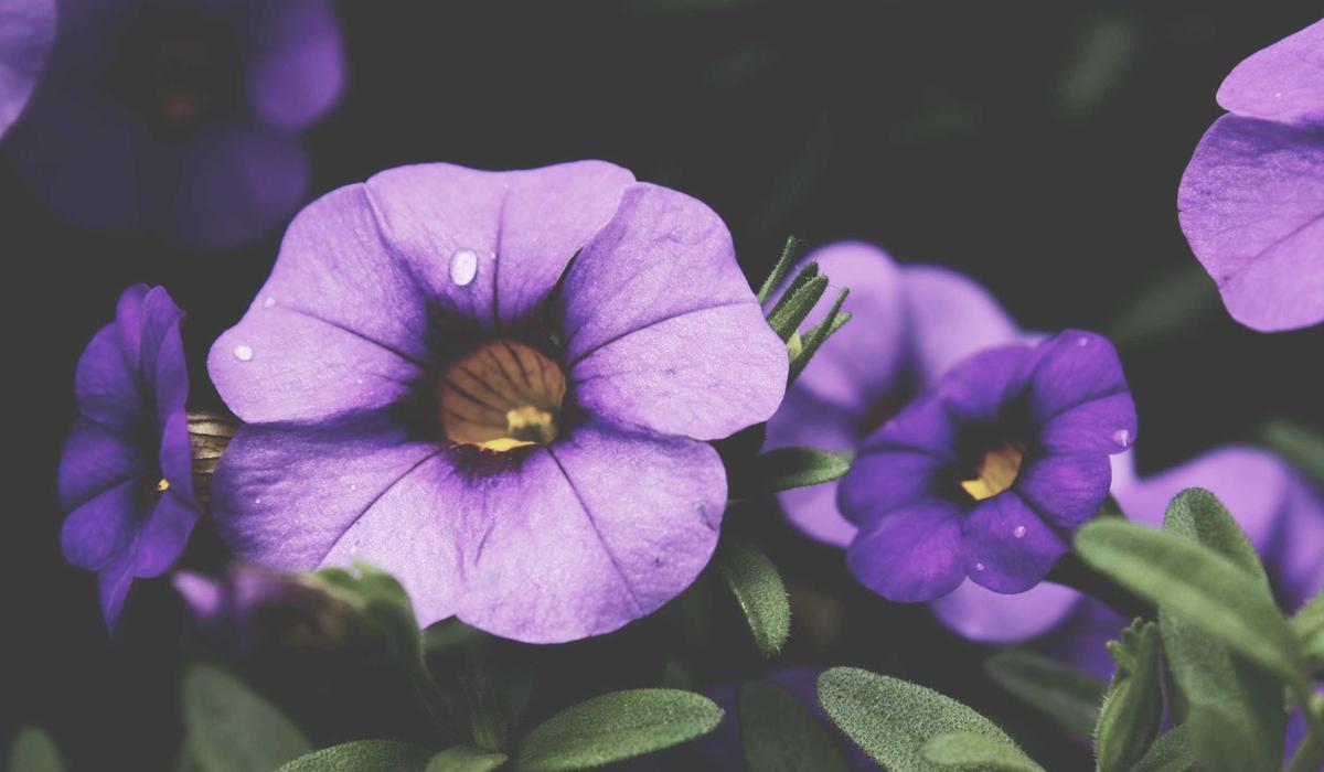 A different way to approach finding better examples